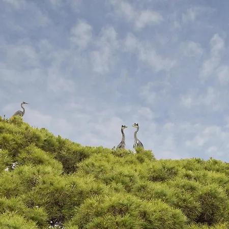 A Montuoro By Wonderful Italy Apartamento Rapallo